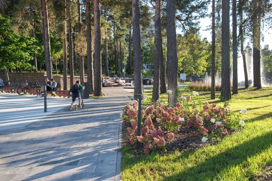 Голосуем за новую территорию благоустройства!