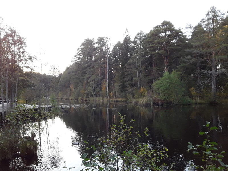 Глуховка: есть ли перспективы?