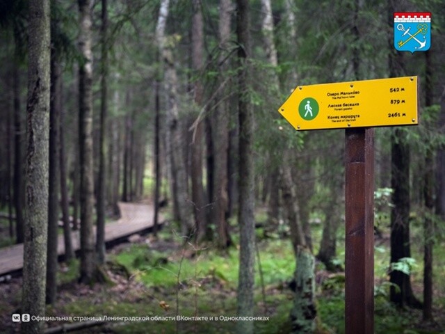 Голосуем за проект!