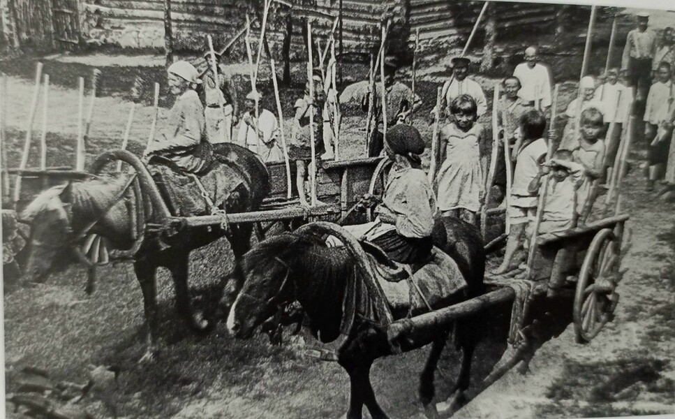 История «без литературной выразительности»…