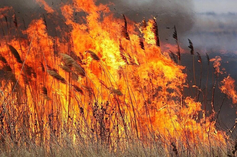 Будьте осторожны с огнем