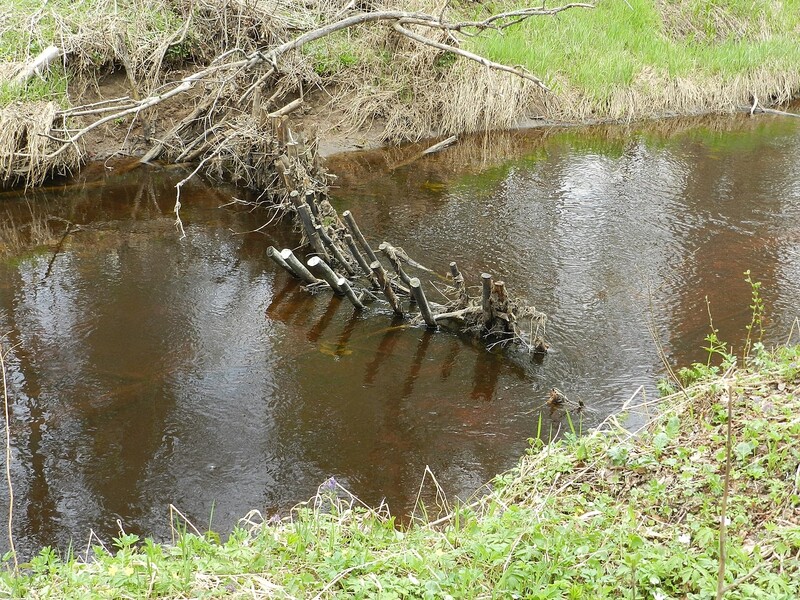 Браконьеры начала прошлого века